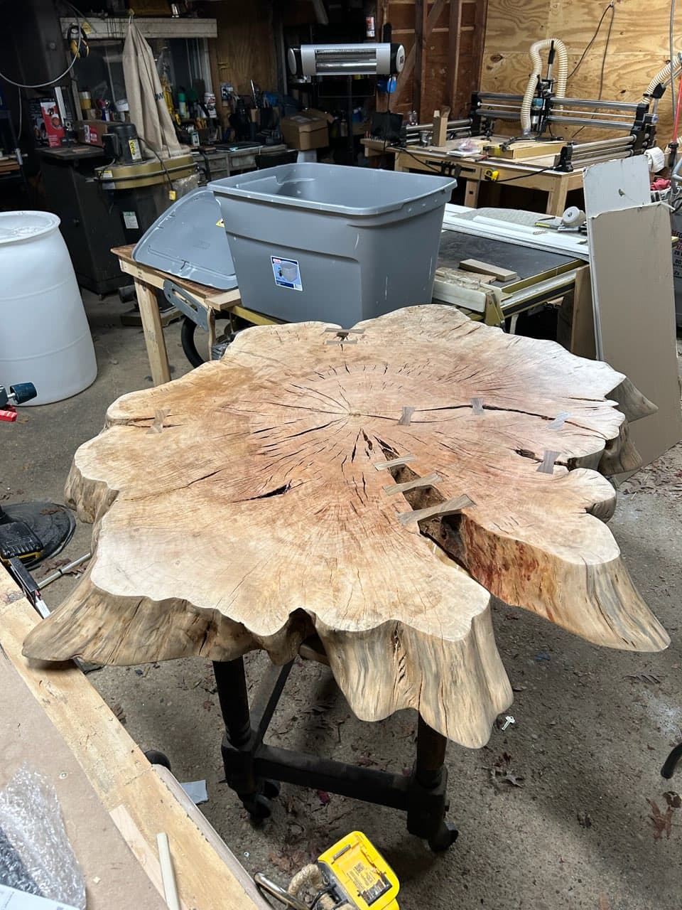 Raw tree stump cross-section slab in the workshop